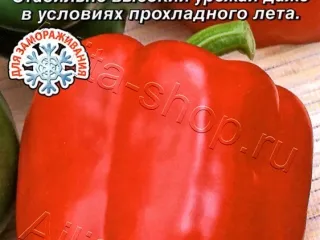 Сорт перца Царевич