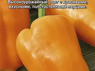 Сорт перца Янтарь