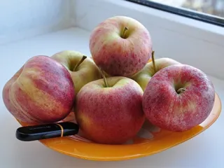 Сорт яблони Гала