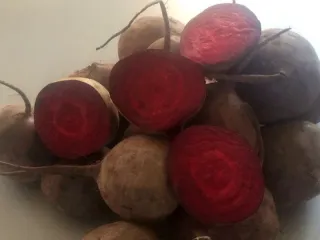 Сорт свеклы Мулатка