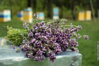 Строительная рамка