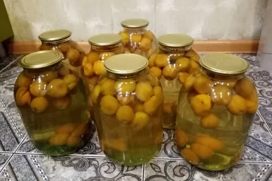 Сорт абрикоса Медовый 2