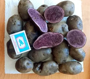 Сорт картофеля Сирень 0
