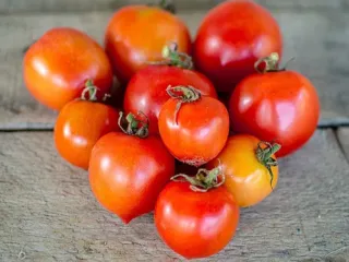 Сорт томата Поцелуй герани (Гераниум кисс)