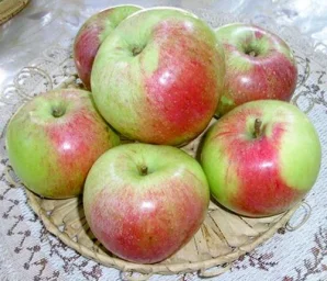 Сорт яблони Московское зимнее 0