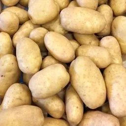Сорт картофеля Доната 0