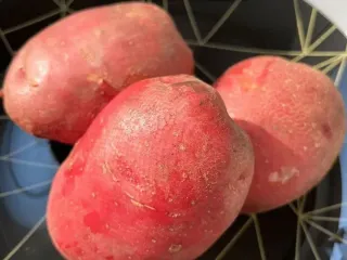 Сорт картофеля Кармен