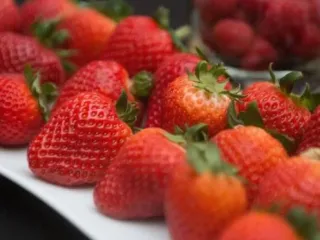 Сорт клубники Магнус