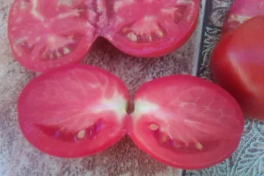 Сорт томата Рио гранде 1