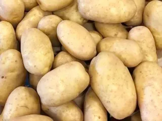 Сорт картофеля Доната