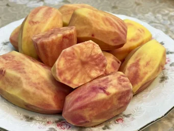 Сорт картофеля Сюрприз 2